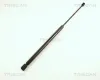 Gasfeder, Koffer-/Laderaum hinten links hinten rechts TRISCAN 8710 42201