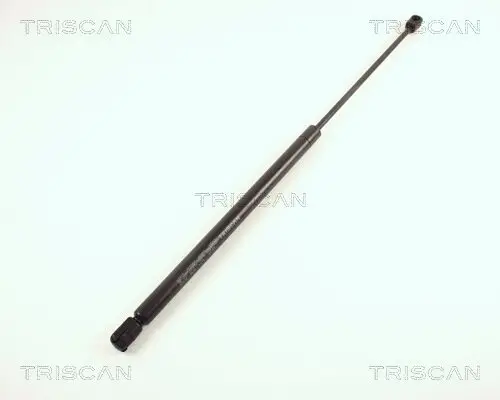 Gasfeder, Koffer-/Laderaum TRISCAN 8710 42202