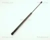Gasfeder, Koffer-/Laderaum TRISCAN 8710 42202
