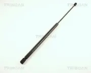 Gasfeder, Koffer-/Laderaum TRISCAN 8710 42202