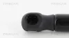 Gasfeder, Koffer-/Laderaum hinten links hinten rechts TRISCAN 8710 42241 Bild Gasfeder, Koffer-/Laderaum hinten links hinten rechts TRISCAN 8710 42241
