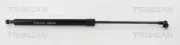 Gasfeder, Koffer-/Laderaum TRISCAN 8710 42242
