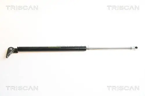 Gasfeder, Koffer-/Laderaum rechts TRISCAN 8710 43211