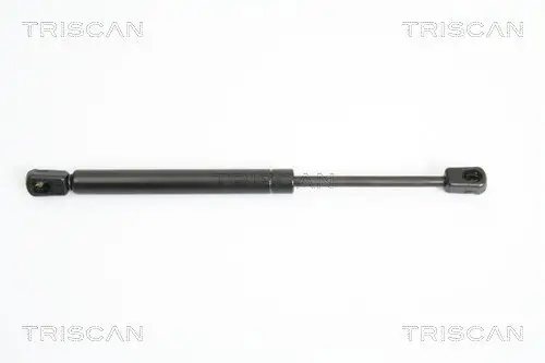 Gasfeder, Koffer-/Laderaum TRISCAN 8710 43225