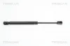 Gasfeder, Koffer-/Laderaum TRISCAN 8710 43225