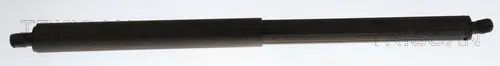 Gasfeder, Koffer-/Laderaum rechts TRISCAN 8710 43253