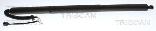 Gasfeder, Koffer-/Laderaum links TRISCAN 8710 43313