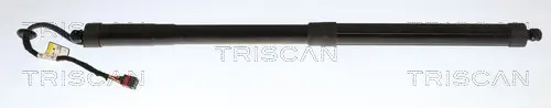 Gasfeder, Koffer-/Laderaum links TRISCAN 8710 43315