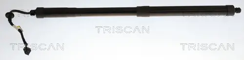 Gasfeder, Koffer-/Laderaum rechts TRISCAN 8710 43316