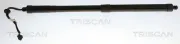 Gasfeder, Koffer-/Laderaum rechts TRISCAN 8710 43316