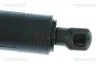 Gasfeder, Koffer-/Laderaum links TRISCAN 8710 43317 Bild Gasfeder, Koffer-/Laderaum links TRISCAN 8710 43317