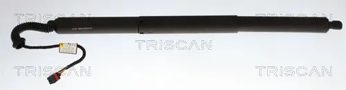 Gasfeder, Koffer-/Laderaum links TRISCAN 8710 43320