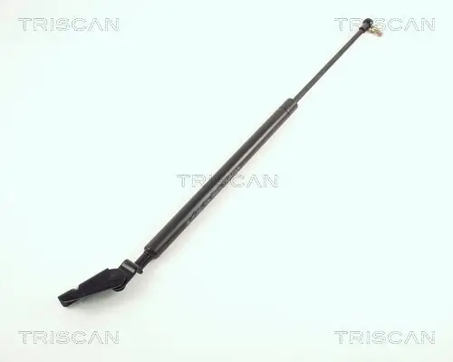Gasfeder, Koffer-/Laderaum rechts TRISCAN 8710 50205