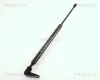 Gasfeder, Koffer-/Laderaum links TRISCAN 8710 50210