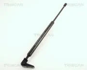Gasfeder, Koffer-/Laderaum links TRISCAN 8710 50210