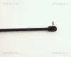 Gasfeder, Koffer-/Laderaum links TRISCAN 8710 50210 Bild Gasfeder, Koffer-/Laderaum links TRISCAN 8710 50210