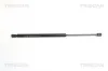 Gasfeder, Koffer-/Laderaum TRISCAN 8710 50234