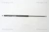 Gasfeder, Koffer-/Laderaum TRISCAN 8710 50243
