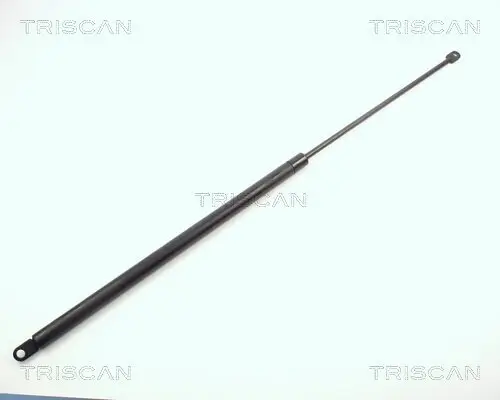 Gasfeder, Koffer-/Laderaum TRISCAN 8710 6506