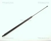 Gasfeder, Koffer-/Laderaum TRISCAN 8710 6507