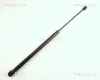 Gasfeder, Koffer-/Laderaum TRISCAN 8710 65202