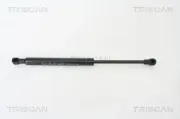 Gasfeder, Koffer-/Laderaum hinten links hinten rechts TRISCAN 8710 65209