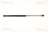 Gasfeder, Koffer-/Laderaum TRISCAN 8710 66204