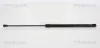 Gasfeder, Koffer-/Laderaum hinten links hinten rechts TRISCAN 8710 66205 Bild Gasfeder, Koffer-/Laderaum hinten links hinten rechts TRISCAN 8710 66205