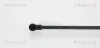 Gasfeder, Koffer-/Laderaum hinten links hinten rechts TRISCAN 8710 66205 Bild Gasfeder, Koffer-/Laderaum hinten links hinten rechts TRISCAN 8710 66205
