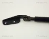 Gasfeder, Koffer-/Laderaum links TRISCAN 8710 68202 Bild Gasfeder, Koffer-/Laderaum links TRISCAN 8710 68202