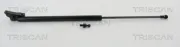 Gasfeder, Koffer-/Laderaum hinten links TRISCAN 8710 68215