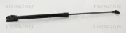 Gasfeder, Koffer-/Laderaum hinten links TRISCAN 8710 68226