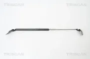 Gasfeder, Koffer-/Laderaum links TRISCAN 8710 69214