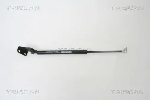 Gasfeder, Koffer-/Laderaum rechts TRISCAN 8710 69217