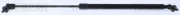 Gasfeder, Koffer-/Laderaum hinten links TRISCAN 8710 80206