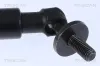 Gasfeder, Koffer-/Laderaum hinten links TRISCAN 8710 80206 Bild Gasfeder, Koffer-/Laderaum hinten links TRISCAN 8710 80206