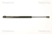 Gasfeder, Heckscheibe links rechts TRISCAN 8710 80207