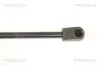Gasfeder, Heckscheibe links rechts TRISCAN 8710 80207 Bild Gasfeder, Heckscheibe links rechts TRISCAN 8710 80207