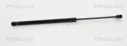 Gasfeder, Koffer-/Laderaum hinten links hinten rechts TRISCAN 8710 80210