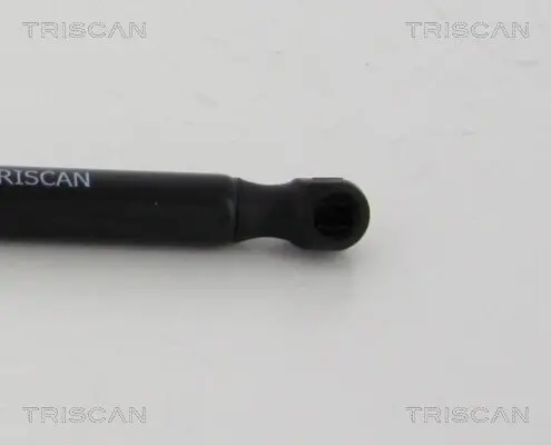 Gasfeder, Koffer-/Laderaum hinten links hinten rechts TRISCAN 8710 80214 Bild Gasfeder, Koffer-/Laderaum hinten links hinten rechts TRISCAN 8710 80214