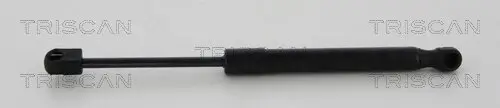 Gasfeder, Koffer-/Laderaum TRISCAN 8710 80215