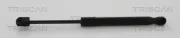 Gasfeder, Koffer-/Laderaum TRISCAN 8710 80215