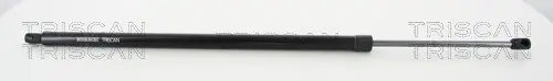 Gasfeder, Koffer-/Laderaum rechts TRISCAN 8710 80216