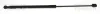 Gasfeder, Koffer-/Laderaum hinten links hinten rechts TRISCAN 8710 80221