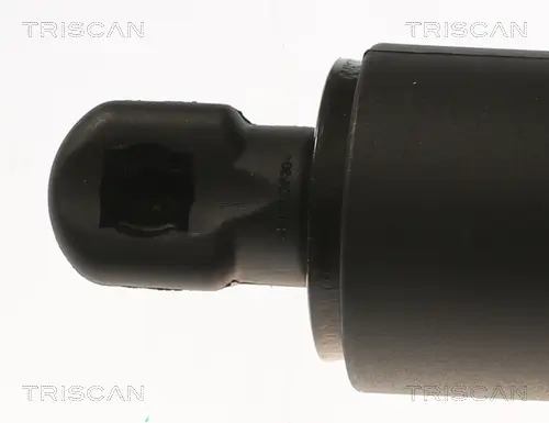 Gasfeder, Koffer-/Laderaum hinten rechts TRISCAN 8710 81202 Bild Gasfeder, Koffer-/Laderaum hinten rechts TRISCAN 8710 81202
