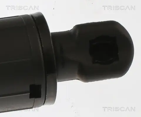 Gasfeder, Koffer-/Laderaum hinten rechts TRISCAN 8710 81202 Bild Gasfeder, Koffer-/Laderaum hinten rechts TRISCAN 8710 81202