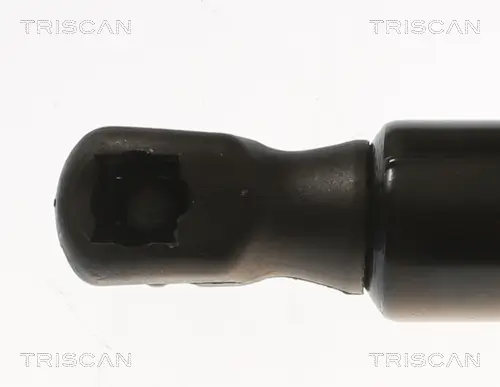 Gasfeder, Koffer-/Laderaum hinten rechts TRISCAN 8710 81204 Bild Gasfeder, Koffer-/Laderaum hinten rechts TRISCAN 8710 81204