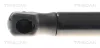 Gasfeder, Motorhaube vorne links TRISCAN 8710 81208 Bild Gasfeder, Motorhaube vorne links TRISCAN 8710 81208