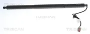 Gasfeder, Koffer-/Laderaum hinten rechts TRISCAN 8710 81209