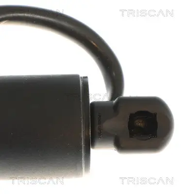 Gasfeder, Koffer-/Laderaum hinten rechts TRISCAN 8710 81209 Bild Gasfeder, Koffer-/Laderaum hinten rechts TRISCAN 8710 81209